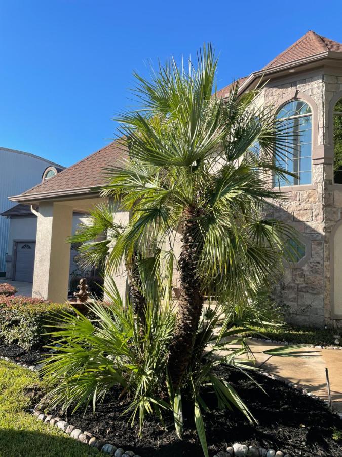 Luxuria Mini-Mansion Near Houston Downtown Villa Екстериор снимка